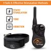 SportDOG YardTrainer 300 Yard Remote Trainer - YT-300