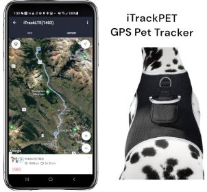 Buckle Clip Mini Waterproof Realtime GSM GPRS Pet Tracker GPS Tracking Size:L